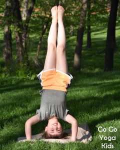 Children find inversions like headstands exciting and thrilling but often their teachers are hesitant to include them into their yoga class lesson plans.